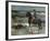 Rider on the Beach-Max Liebermann-Framed Giclee Print