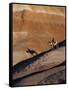 Rider with Shadow Coming down Hill in Painted Desert-Terry Eggers-Framed Stretched Canvas