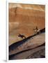 Rider with Shadow Coming down Hill in Painted Desert-Terry Eggers-Framed Photographic Print