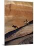 Rider with Shadow Coming down Hill in Painted Desert-Terry Eggers-Mounted Photographic Print