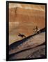 Rider with Shadow Coming down Hill in Painted Desert-Terry Eggers-Framed Photographic Print