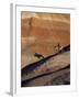 Rider with Shadow Coming down Hill in Painted Desert-Terry Eggers-Framed Photographic Print