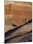 Rider with Shadow Coming down Hill in Painted Desert-Terry Eggers-Mounted Photographic Print