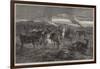 Riderless Horses Answering the Regimental Call after a Battle-George Bouverie Goddard-Framed Giclee Print