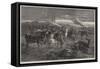 Riderless Horses Answering the Regimental Call after a Battle-George Bouverie Goddard-Framed Stretched Canvas