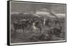 Riderless Horses Answering the Regimental Call after a Battle-George Bouverie Goddard-Framed Stretched Canvas