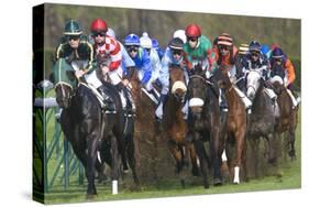 Riders and Racehorses Galloping around Racecourse-null-Stretched Canvas