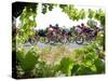 Riders are Seen Through Vineyards as the Pack Pedals Outside Beziers-null-Stretched Canvas