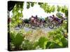 Riders are Seen Through Vineyards as the Pack Pedals Outside Beziers-null-Stretched Canvas