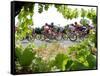 Riders are Seen Through Vineyards as the Pack Pedals Outside Beziers-null-Framed Stretched Canvas