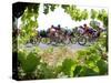 Riders are Seen Through Vineyards as the Pack Pedals Outside Beziers-null-Stretched Canvas