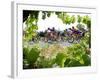 Riders are Seen Through Vineyards as the Pack Pedals Outside Beziers-null-Framed Photographic Print