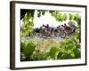 Riders are Seen Through Vineyards as the Pack Pedals Outside Beziers-null-Framed Photographic Print