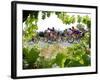 Riders are Seen Through Vineyards as the Pack Pedals Outside Beziers-null-Framed Photographic Print