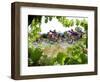 Riders are Seen Through Vineyards as the Pack Pedals Outside Beziers-null-Framed Photographic Print