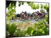 Riders are Seen Through Vineyards as the Pack Pedals Outside Beziers-null-Mounted Photographic Print