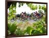 Riders are Seen Through Vineyards as the Pack Pedals Outside Beziers-null-Framed Photographic Print