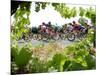 Riders are Seen Through Vineyards as the Pack Pedals Outside Beziers-null-Mounted Photographic Print