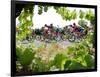 Riders are Seen Through Vineyards as the Pack Pedals Outside Beziers-null-Framed Photographic Print