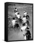 Riders Enjoying Motorcycle Racing, Leaving a Trail of Dust Behind-Loomis Dean-Framed Stretched Canvas
