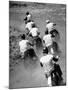 Riders Enjoying Motorcycle Racing, Leaving a Trail of Dust Behind-Loomis Dean-Mounted Photographic Print