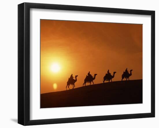 Riders Silhouetted on Camels at Sunset, Giza, Cairo, Egypt, North Africa, Africa-Nigel Francis-Framed Photographic Print