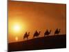 Riders Silhouetted on Camels at Sunset, Giza, Cairo, Egypt, North Africa, Africa-Nigel Francis-Mounted Photographic Print