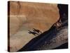 Riders with Shadow Coming down Hill in Painted Desert-Terry Eggers-Stretched Canvas