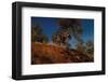 Ridge Runner-Steve Hunziker-Framed Art Print