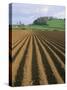 Ridged Soil in Ploughed Field, Somerset, England, United Kingdom-Roy Rainford-Stretched Canvas