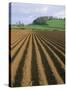 Ridged Soil in Ploughed Field, Somerset, England, United Kingdom-Roy Rainford-Stretched Canvas