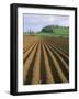 Ridged Soil in Ploughed Field, Somerset, England, United Kingdom-Roy Rainford-Framed Photographic Print