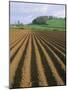 Ridged Soil in Ploughed Field, Somerset, England, United Kingdom-Roy Rainford-Mounted Photographic Print