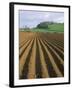 Ridged Soil in Ploughed Field, Somerset, England, United Kingdom-Roy Rainford-Framed Photographic Print