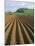 Ridged Soil in Ploughed Field, Somerset, England, United Kingdom-Roy Rainford-Mounted Photographic Print