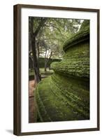 Ridges of the Dome Shaped Structure in the Kiri Vihara Buddhist Temple Ruins-Charlie-Framed Photographic Print