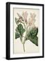 Black Frame