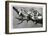 Ridiculous Dream, 1819-1823-Francisco de Goya-Framed Giclee Print