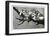 Ridiculous Dream, 1819-1823-Francisco de Goya-Framed Giclee Print