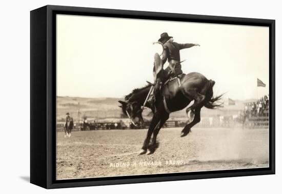 Riding a Nevada Bronco-null-Framed Stretched Canvas