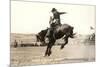 Riding a Nevada Bronco-null-Mounted Premium Giclee Print