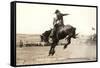 Riding a Nevada Bronco-null-Framed Stretched Canvas