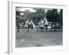 Riding Animals Bedecked for the Peace Day Celebrations, 19th July 1919-Frederick William Bond-Framed Photographic Print