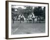 Riding Animals Bedecked for the Peace Day Celebrations, 19th July 1919-Frederick William Bond-Framed Photographic Print