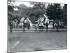 Riding Animals Bedecked for the Peace Day Celebrations, 19th July 1919-Frederick William Bond-Mounted Photographic Print