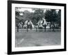 Riding Animals Bedecked for the Peace Day Celebrations, 19th July 1919-Frederick William Bond-Framed Photographic Print