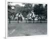 Riding Animals Bedecked for the Peace Day Celebrations, 19th July 1919-Frederick William Bond-Framed Photographic Print