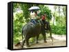 Riding Elephants in the Chalong Highlands, Phuket, Thailand, Southeast Asia, Asia-Nico Tondini-Framed Stretched Canvas