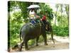 Riding Elephants in the Chalong Highlands, Phuket, Thailand, Southeast Asia, Asia-Nico Tondini-Stretched Canvas