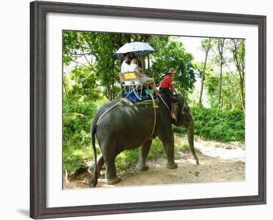 Riding Elephants in the Chalong Highlands, Phuket, Thailand, Southeast Asia, Asia-Nico Tondini-Framed Photographic Print